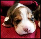 Girl 1 wk 2